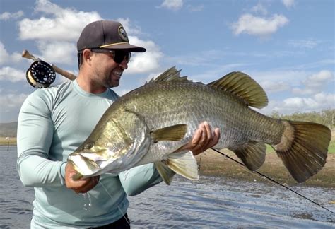 Video Of The Week Barramundi On The Fly With Pelagic Pursuit