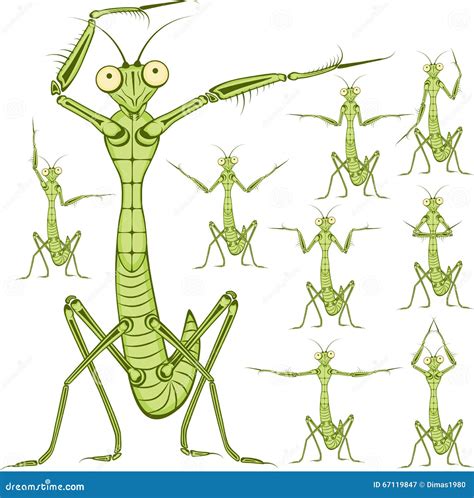 Cartoon Character Mantis Stock Vector Illustration Of Mascot 67119847
