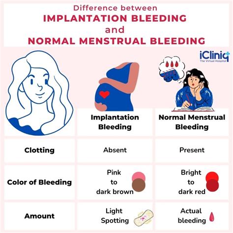 Implantation Bleeding Color And Amount