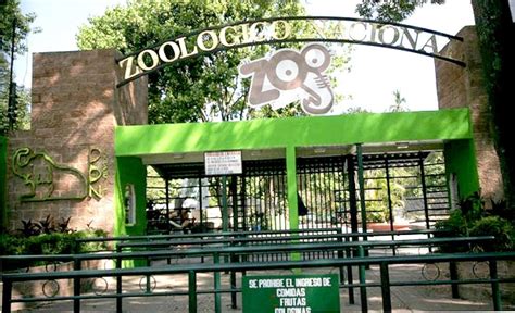 Zoológico Nacional Abrirá Al Público El 3 De Octubre Y Entrada Será