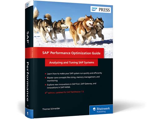 SAP Performance Optimization Guide | Book & E-Book