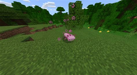 Axolotls Replica Concept Minecraft Pe Addon