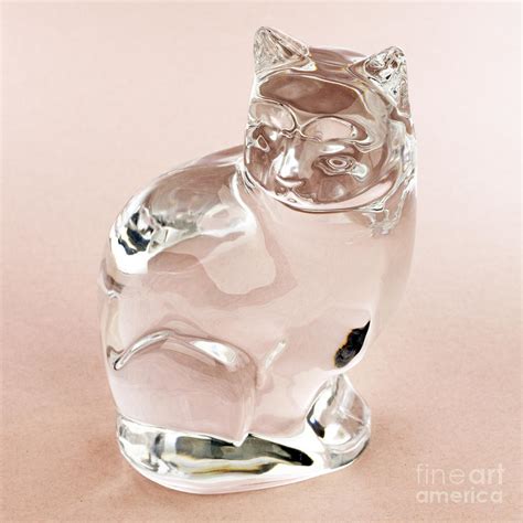 Clear Glass Cat Figurine Photograph By Lee Serenethos Fine Art America