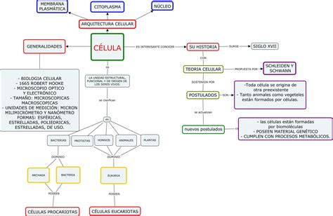 Mapa Conceptual Sobre La Celula Citoplasma Biologia Celular Images