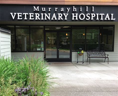 Our Hospital Vca Murrayhill Veterinary Hospital