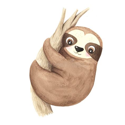 Watercolor Hand Painted Cute Sloth Stock Illustration Illustration Of