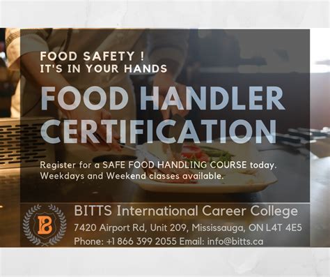 Food Service Worker Diploma Course Catchfree