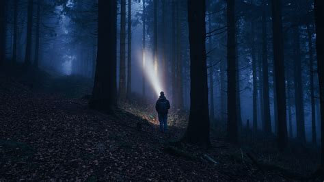 Forest Fog Dark Man Flashlight 4k Hd Wallpaper