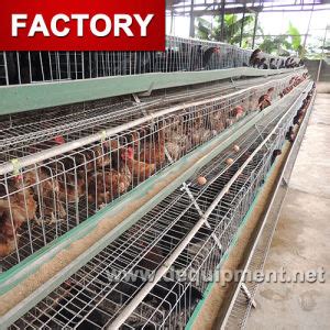 First, the farmer needs to take into account the number of birds he/she intends to rear. China Hotsale Automatic Design Layer Chicken Battery Cages ...