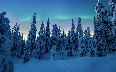 Download Wallpaper 3840x2400 Trees Snow Winter Night