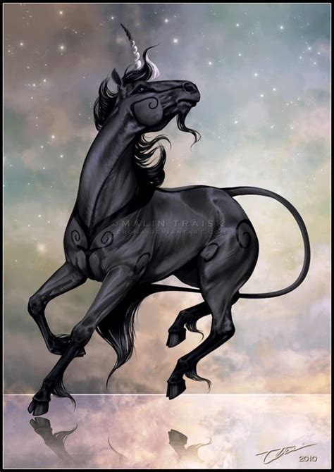 48 Best Black Unicorns Images On Pinterest Black Unicorn Unicorns