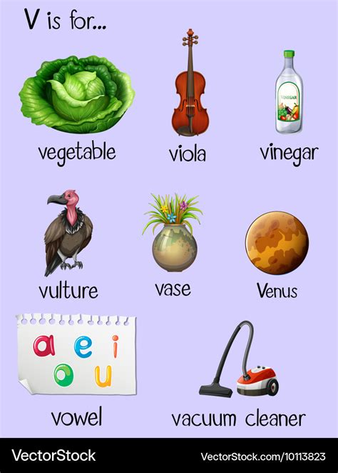 Words With V For Kids