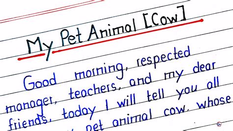 Essay On My Pet Animal Cow In English My Pet Animal Essay My