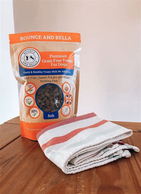 Treat Towel Game Level Two Diy Brain Games For Dogs Bounce And Bella