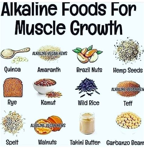 Dr Sebi Grandson On Instagram “alkaline Protein For Everyone That Stay