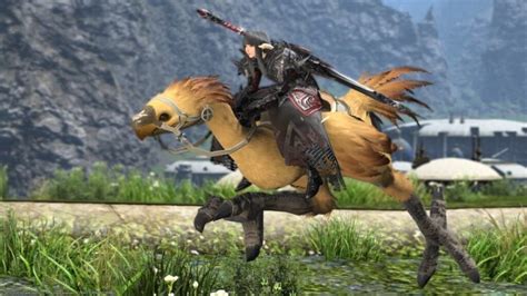 All Chocobo Quests In Final Fantasy Xiv Online Pro Game Guides