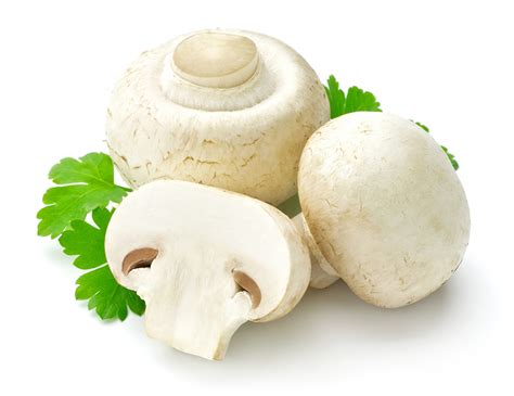 Picture Food Three 3 Mushrooms White White Background Agaricus