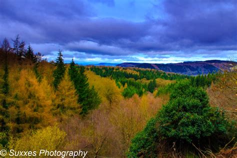 Forest Of Dean Gloucestershire Uk Landscape Photography