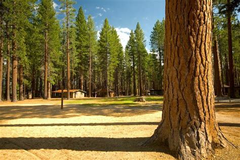 Check spelling or type a new query. Camp Richardson Resort - UPDATED 2018 Reviews (South Lake ...