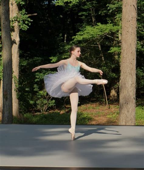 The State Ballet Of Rhode Island State Ballet Of Rhode Island Brae Crest School Of Ballet