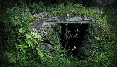 Man Made Cave Covered In Moss Stock Image Image Of Overgrowth Hidden