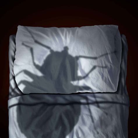 10 Interesting Facts About Bed Bugs From A Bed Bug Exterminator In