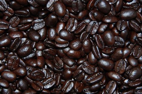 Valentine`s day or love concept. 5 lbs. Sumatra Mandheling GR1 DP Fresh Dark Espresso Roast ...