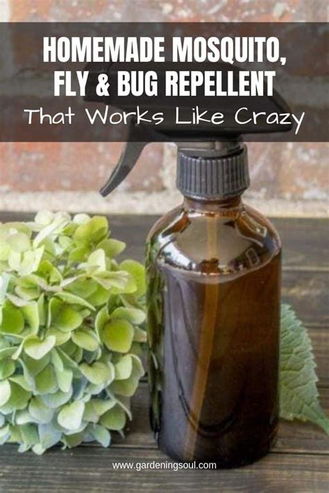 Homemade Mosquito Fly And Bug Repellent Gardening Soul