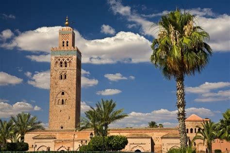 Que Faire à Marrakech Les 15 Incontournables Marrakech