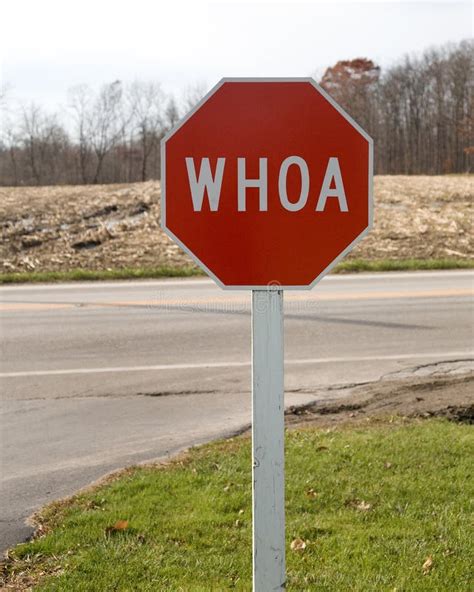 Whoa Stop Sign Stock Image Image Of Road Traffic Signage 5893143