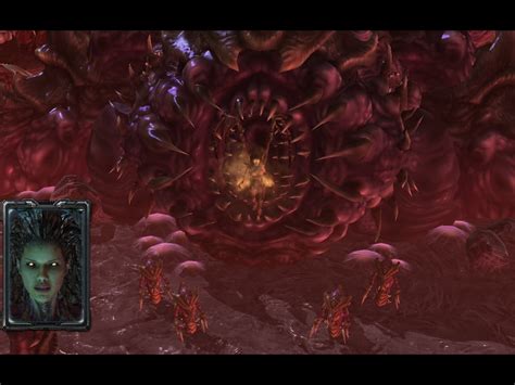 So Kerrigan Lives In A Giant Womb