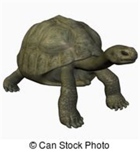 Galapagos Illustrations and Clipart. 206 Galapagos royalty ...