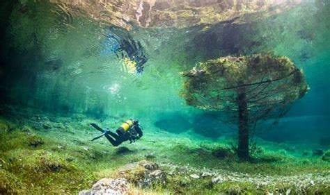 Pictures Like A Fairy Tale The Beautiful Underwater World Of Hikers