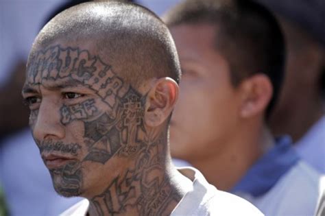 The Ms13 Gang 13 Things To Know Narco Confidential