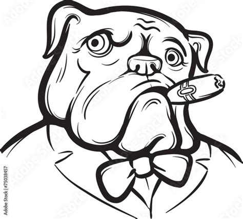 Whiteboard Drawing Old English Bulldog With Cigar Stock Vector