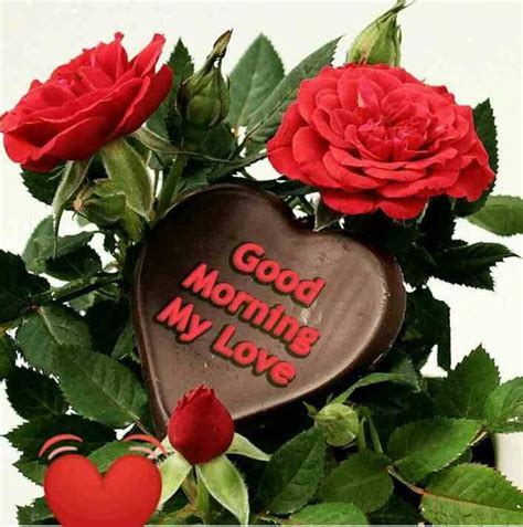 Latest 115 Good Morning Images For My Love ~ Whatsapp Dp Love Dp Dp