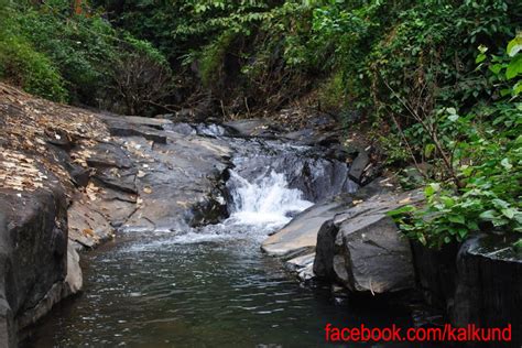 Those who survived have adapted, to a new world. Kalkundu Water Falls and Tourist Place Kalkundu