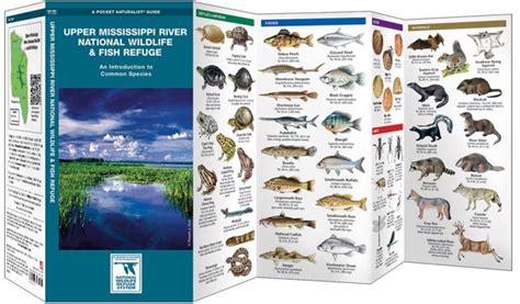 Upper Mississippi River National Wildlife And Fish Refuge