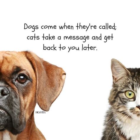 Cats Are Better Than Dogs Quotes Tumblr Best Of Forever Quotes