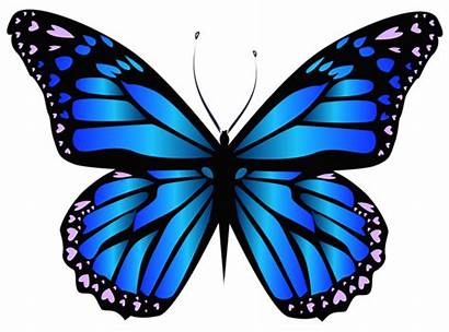 Butterfly Purple Clipart Clip Clipground