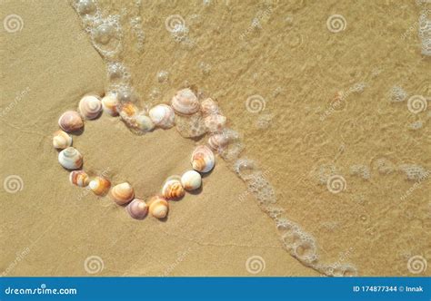 Heart Made Of Shells On The Seashore Ocean Stock Photo Image Of