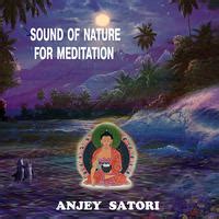 Satori Healing Meditative Ambient New Age