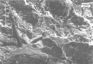 Brittle fracture at-40 ºC; transgranular and intergranular ...
