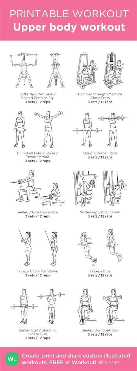Beginner Upper Body Workout My Custom Workout Created At Workoutlabs