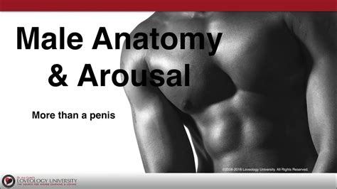 Loveology University Male Anatomy And Arousal Course Sneak Preview Youtube