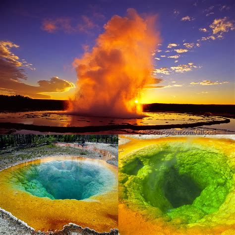 The Yellowstone National Park Save Our Green