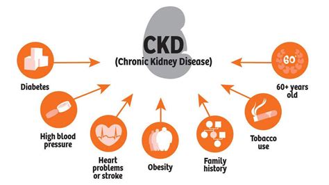 What Is Kidney Disease