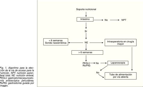 Figure 1 From Vías De Acceso Quirúrgico En Nutrición Enteral Semantic Scholar