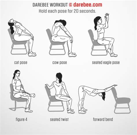 Seated Stretch For Lower Back Pain Off 74
