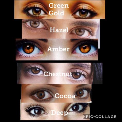 Different Shades Of Brown Eye Color Shades Of Brown Eyes Eye Color